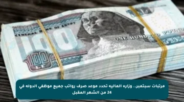 مرتبات سبتمبر.. وزارة المالية تحدد موعد صرف رواتب جميع موظفي الدولة في 24 من الشهر المقبل